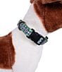 Color:Century Harding - Image 4 - Century Harding Adventure Adjustable Dog Collar