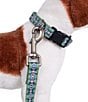 Color:Century Harding - Image 5 - Century Harding Adventure Adjustable Dog Collar