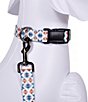 Pendleton Falcon Cove Adventure Adjustable Dog Collar, Color:Falcon Cove - Image 13