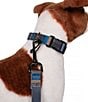 Color:Olympic - Image 6 - Olympic National Park Adventure Dog Collar