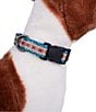 Color:Pagosa Spring - Image 4 - Pagosa Spring Adventure Adjustable Dog Collar