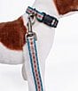 Color:Pagosa Spring - Image 5 - Pagosa Spring Adventure Adjustable Dog Collar