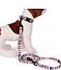 Color:Tamiami - Image 4 - Tamiami Adventure Dog Leash