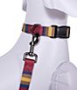 Color:Zion - Image 3 - Zion National Park Adventure Adjustable Dog Collar