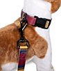 Pendleton Zion National Park Adventure Adjustable Dog Collar, Color:Zion - Image 9