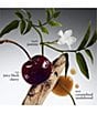 philosophy undefined, 00000000__20573910_03_ai - undefined