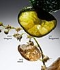 philosophy undefined, 00000001__03102228_04_ai - undefined