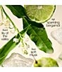 philosophy Amazing Grace Hydrating Shower Gel - Image 3