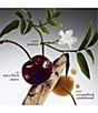 philosophy undefined, 00000001__20509466_03_ai - undefined