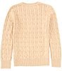 Color:New Camel Melange - Image 2 - Big Boys 8-20 Long Sleeve Cable Knit Sweater