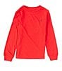 Color:RL 2000 Red - Image 1 - Little Boys 2T-7 Jersey Crew Neck Long Sleeve T-Shirt