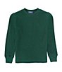 Color:Moss Agate - Image 1 - Polo Ralph Lauren Little Boys 2T-7 Long-Sleeve Waffle-Knit T-Shirt