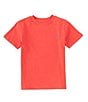 Color:Post Red - Image 1 - Little Boys 2T-7 Short-Sleeve Essential T-Shirt
