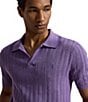 Polo Ralph Lauren Textured Short Sleeve Polo Sweater - Image 4