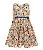 Color:Multi - Image 1 - Little Girls 2-7 Sleeveless Solid Trim Floral Fit & Flare Dress