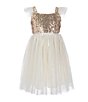 Color:Cream - Image 1 - Little/Big Girls 2-8 Sequin Tulle Dress