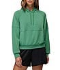 prAna Soft Shea Long Sleeve Hoodie Pullover - Image 1