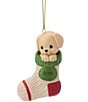 Precious Moments Paw-fectly Cozy Dog Dated 2026 Hanging Ornament - Image 2