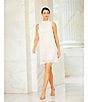 Preston & York Rita Lace Mock Neckline Tie Back Dress, Color:White/biscuit - Image 6
