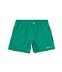 Color:Meadow - Image 1 - Little Boys' 2T-7 Pull-On Mallard Shorts