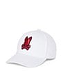 Color:White - Image 1 - Apple Valley Baseball Cap