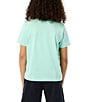 Color:Beach Glass - Image 2 - Big Boys 7-20 Short Sleeve Classic Crew Neck T-Shirt