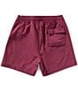 Psycho Bunny Little/Big Boys Palmview Hydrochromatic Swim Trunks, Color:Boysenberry - Image 2