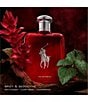 Ralph Lauren undefined, 20088958__02_ai - undefined
