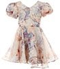Rare Editions Big Girls Puffed-Sleeve Floral Organza Fit-And-Flare Dress, Color:Taupe - Image 1