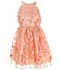 Color:Peach - Image 1 - Big Girls 7-16 Sleeveless Allover Flower Appliqued Fit & Flare Dress