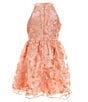 Color:Peach - Image 2 - Big Girls 7-16 Sleeveless Allover Flower Appliqued Fit & Flare Dress