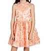 Color:Peach - Image 5 - Big Girls 7-16 Sleeveless Allover Flower Appliqued Fit & Flare Dress
