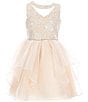 Color:Blush - Image 1 - Big Girls 7-16 Sleeveless Sequin Embroidered Bodice Mesh Organza Dress