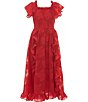 Rare Editions Big Girls Flutter-Sleeve Burnout Chiffon Dress - Image 1