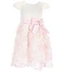 Color:Pink/Ivory - Image 1 - Little Girls 2T-6X Cap Sleeve Solid Satin Bodice to Soutache-Embroidered Skirt Fit-And-Flare Dress