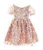 Color:Blush - Image 1 - Little Girls 2T-6X Puffed Sleeve Sequin-Embellished Floral-Soutache Fit & Flare Dress
