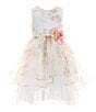 Color:Ivory - Image 1 - Little Girls 2T-6X Sleeveless Floral-Printed Tiered Organza Ballgown