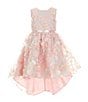 Color:Blush - Image 1 - Little Girls 2T-6X Sleeveless Flower-Appliqued Fit-And-Flare Dress