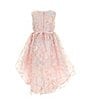 Color:Blush - Image 2 - Little Girls 2T-6X Sleeveless Flower-Appliqued Fit-And-Flare Dress
