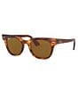 Color:Havana - Image 1 - Meteor Classic Square Sunglasses