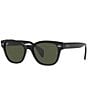 Color:Black - Image 1 - Unisex 0RB0880S 49mm Square Sunglasses