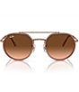 Color:Copper - Image 2 - Unisex RB3765 53mm Irregular Round Sunglasses