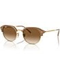Color:Brown - Image 1 - Unisex RB442955-Y 55mm Irregular Sunglasses