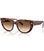 Ray-Ban Women's RB2286 Doreen 52mm Transparent Havana Cat Eye Square Sunglasses, Color:Transparent Havana - Image 1
