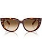 Ray-Ban Women's RB2286 Doreen 52mm Transparent Havana Cat Eye Square Sunglasses, Color:Transparent Havana - Image 2