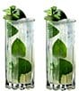 Color:Clear - Image 3 - Drink Specific Highball Glass, Set of 2