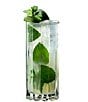Color:Clear - Image 4 - Drink Specific Highball Glass, Set of 2