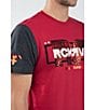 Color:Red/Grey - Image 3 - Foiled Animal-Printed Double #double;R#double; Logo Short-Sleeve Color Block T-Shirt