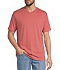 Roundtree & Yorke Big & Tall Solid Cloud Short Sleeve V-Neck T-Shirt - Image 1