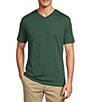 Roundtree & Yorke Solid Cloud Short Sleeve V-Neck T-Shirt - Image 1